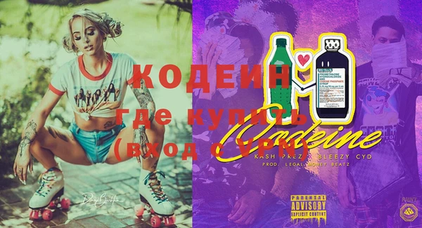 mix Богородицк
