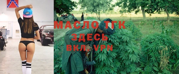 mix Богородицк
