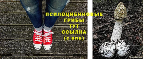 мескалин Богородск