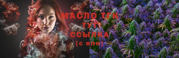 mix Богородицк