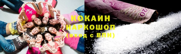 mix Богородицк