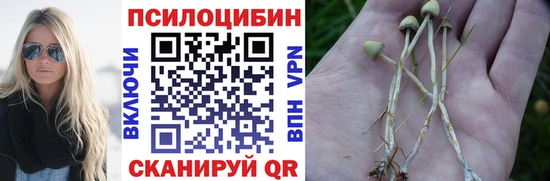 наркошоп Оха Псилоцибиновые грибы Cubensis
